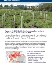 A Guide to the Central Scotland Green Network Contribution for New Woodland Creation
